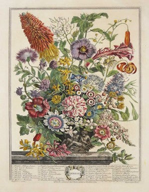 An Emporium of Botanical Prints: The Botanical ABC