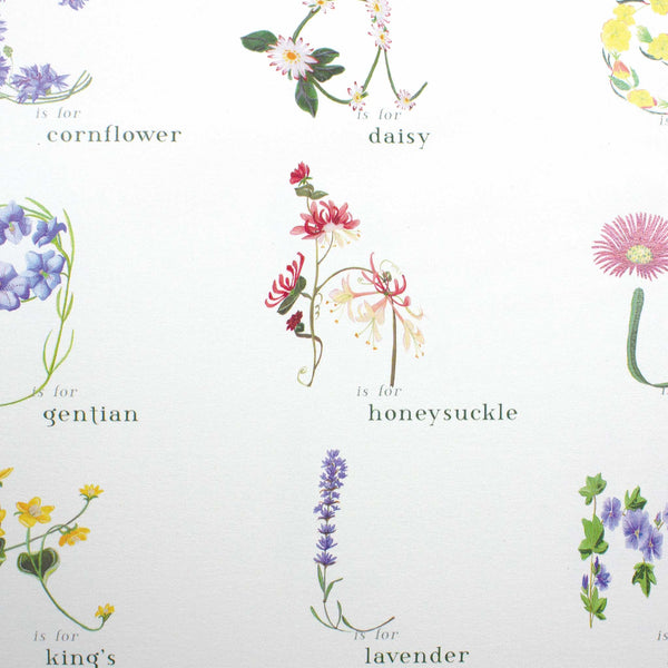 Complete Set of Alphabet Cards from A-Z - botanicalabc